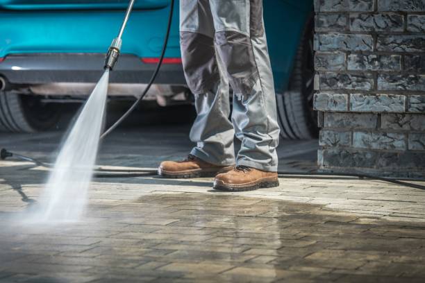 Best Soft Washing  in Gun Barrel City, TX